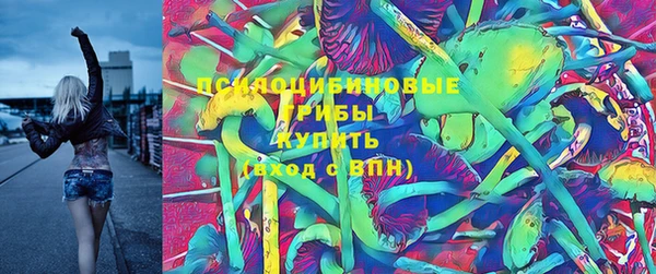 не бодяженный Абаза