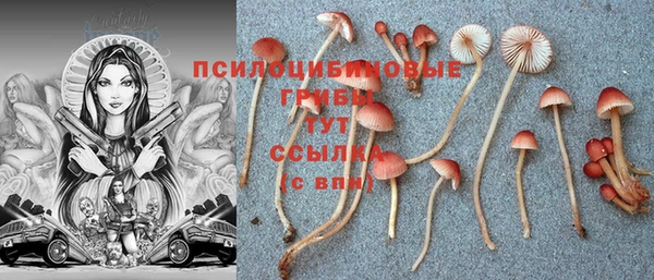 спиды Абдулино