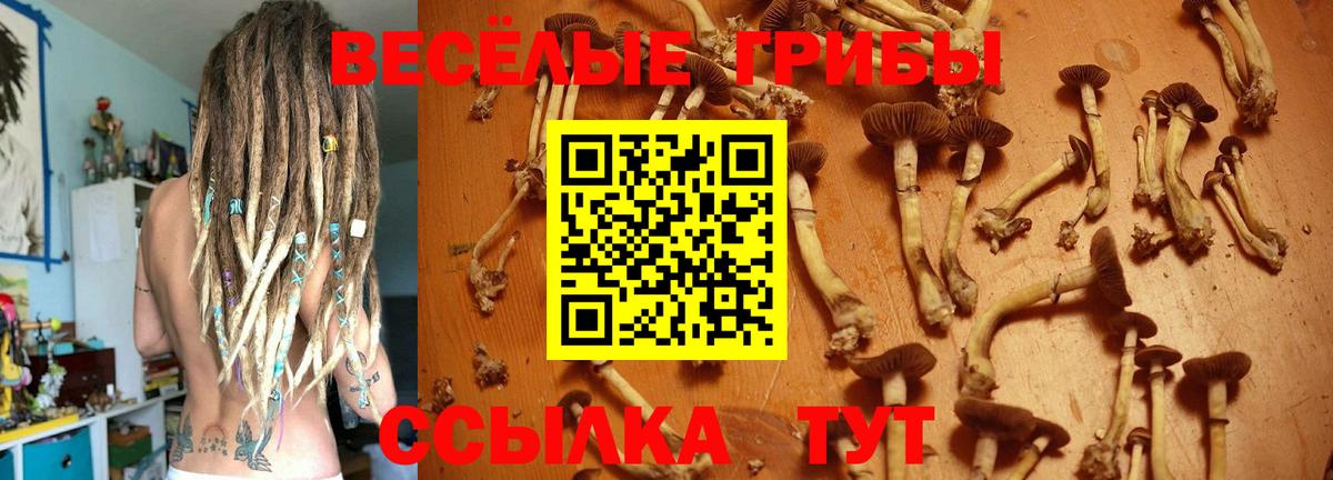 Псилоцибиновые грибы GOLDEN TEACHER  Вход с VPN  Алапаевск 