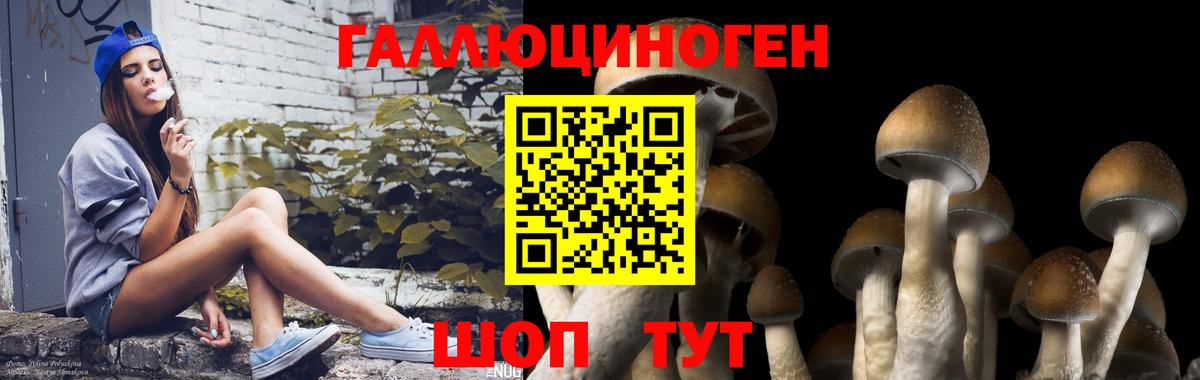 Галлюциногенные грибы Psilocybine cubensis Алапаевск